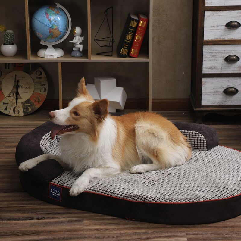 Kirkland signature bolstered memory foam pet bed hotsell